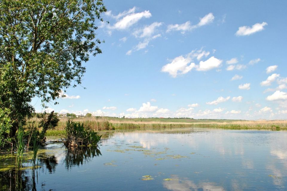 Міську раду зобов'язали повернути 10 гектарів землі поблизу Івачівського ставу
