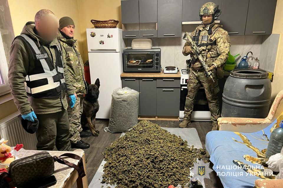 На Чортківщині виявили нарколабораторію, де було канабісу на дев'ять мільйонів гривень