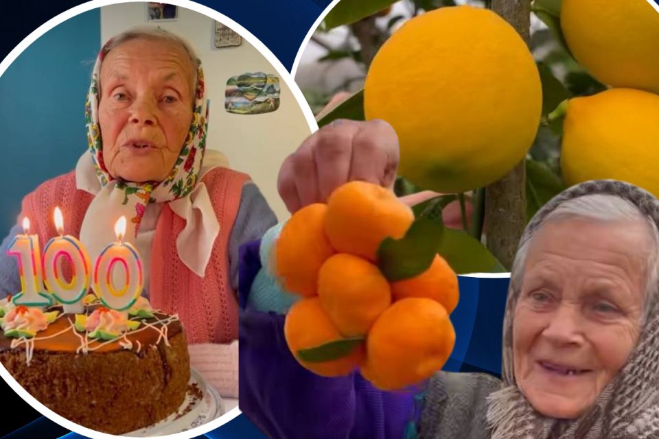 Баба Оля з Тернопільщини вирощує мандарини серед зими, ділиться рецептами та має 100-тисячний TikTok