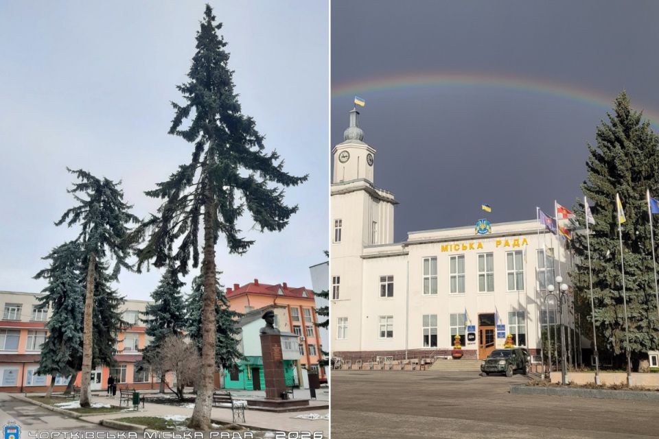 У центрі Чорткова видалили дерева: містяни говорять про нову парковку, влада — заперечує