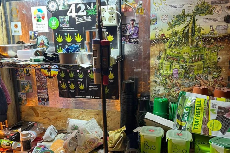 Тістечка з марихуаною та лабораторія в гаражі: затримання у Тернополі в межах спецоперації «Рубікон»