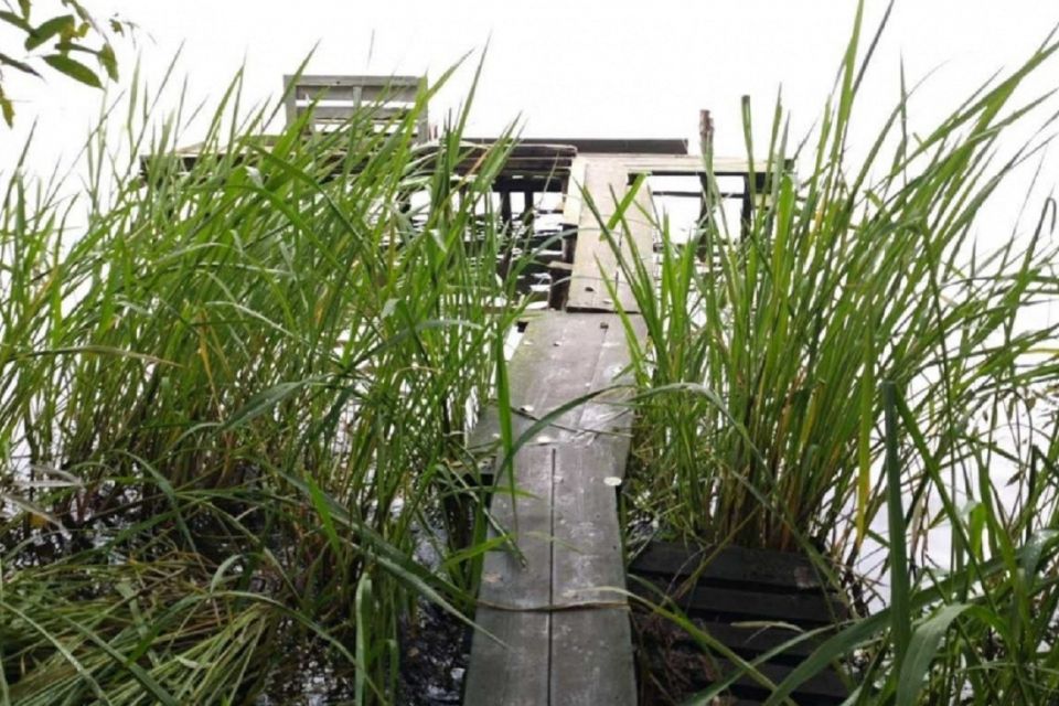 У парку «Загребелля» демонтують самовільно встановлені дерев’яні пірси