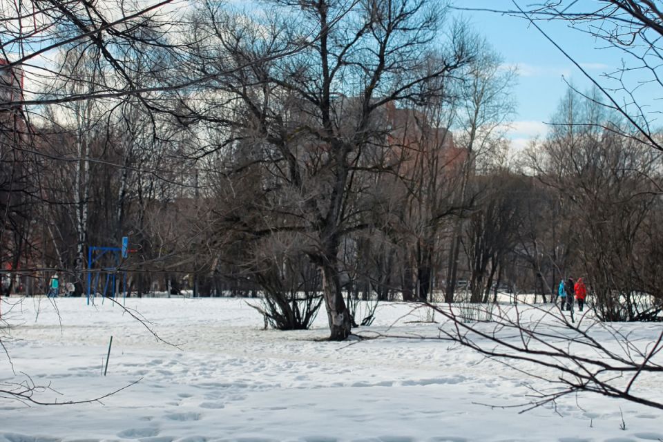 Довгоочікуване потепління вже на Тернопільщині: прогноз погоди на кінець лютого