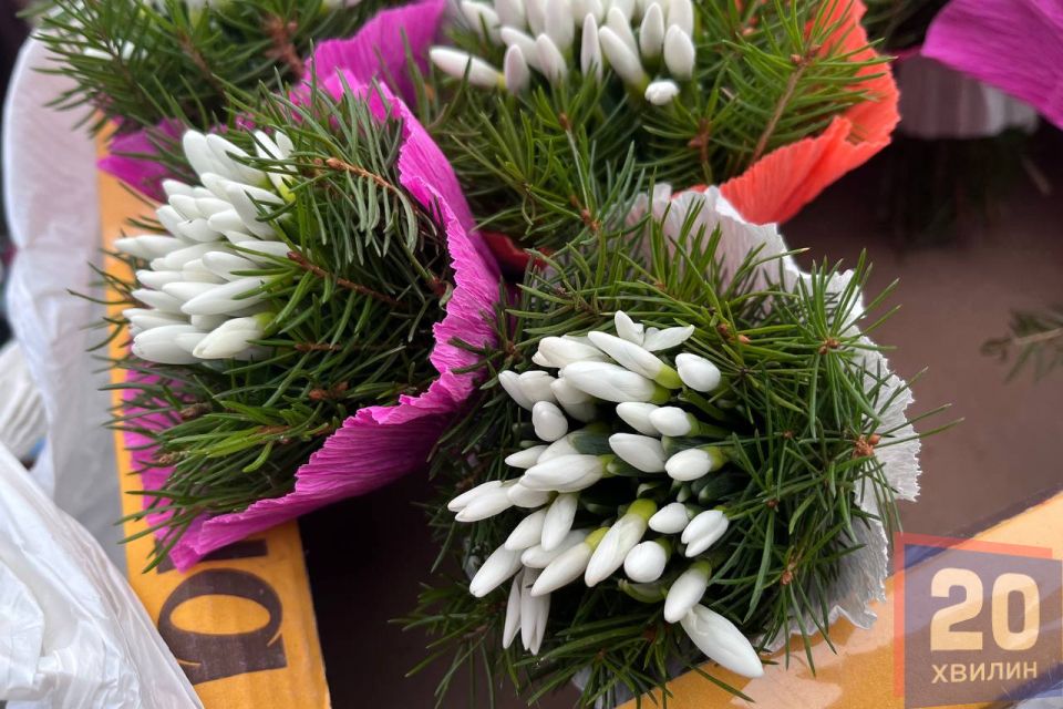 Підсніжники по 70–80 гривень: де в Тернополі продають первоцвіти та які штрафи загрожують