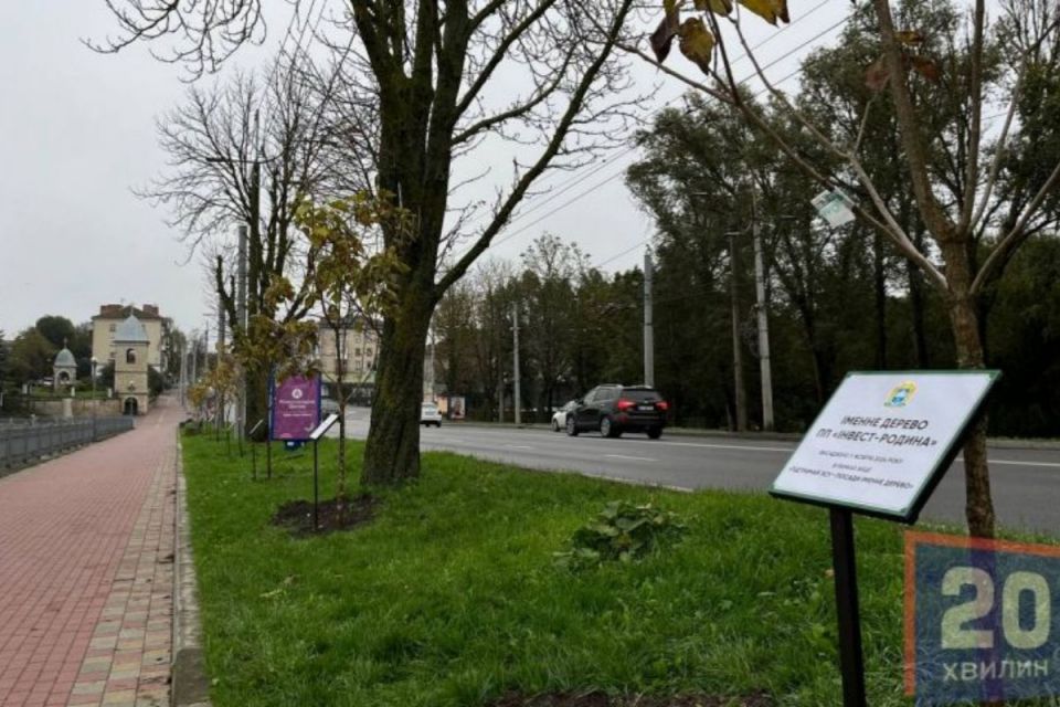 У Тернополі знову висаджуватимуть іменні дерева на підтримку ЗСУ