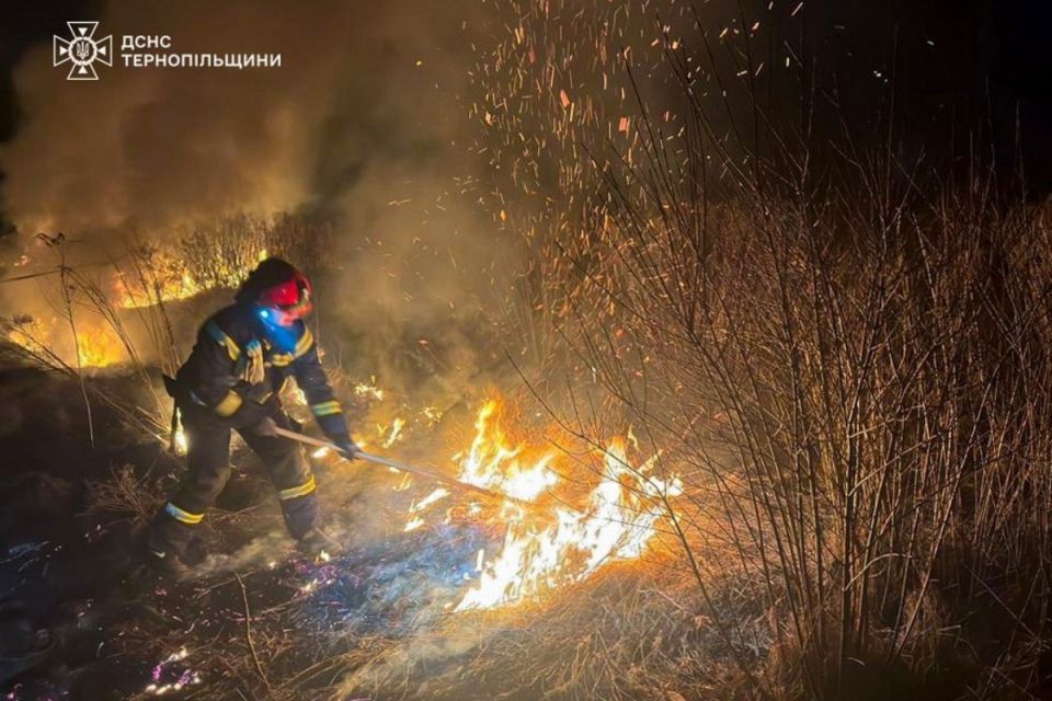 У Теребовлі вогонь охопив близько 2,5 гектара сухої трави