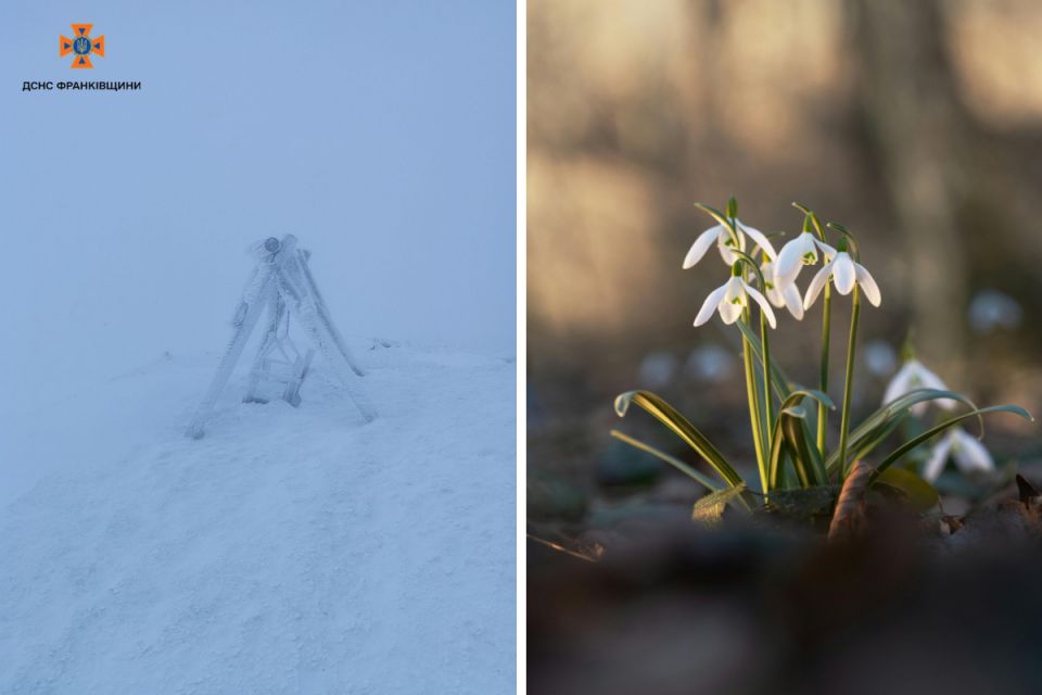 Карпати засипало снігом: чи чекати похолодання на Тернопільщині