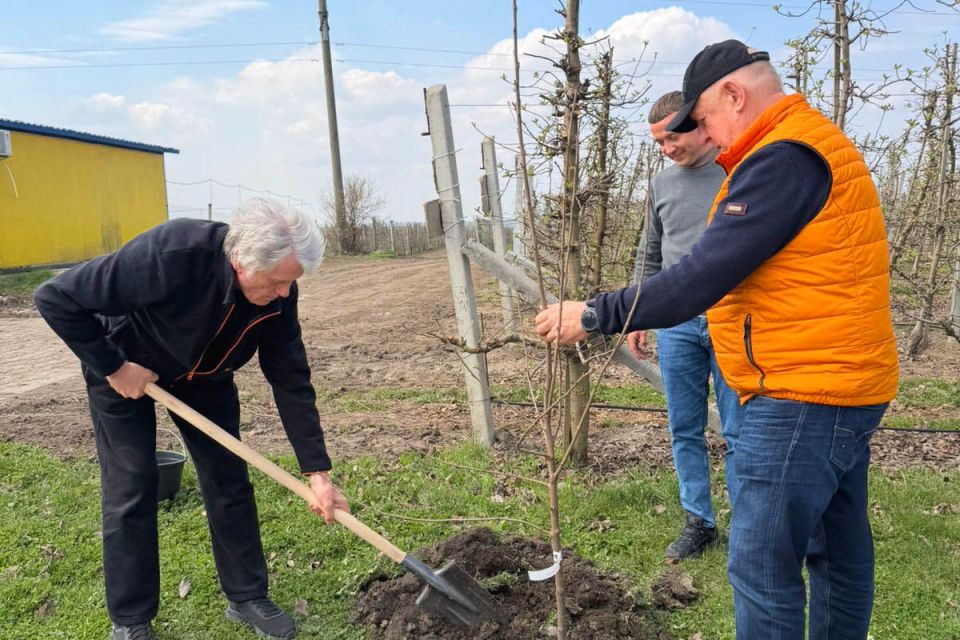 Ющенко посадив п'ять молодих черешень на Тернопільщині
