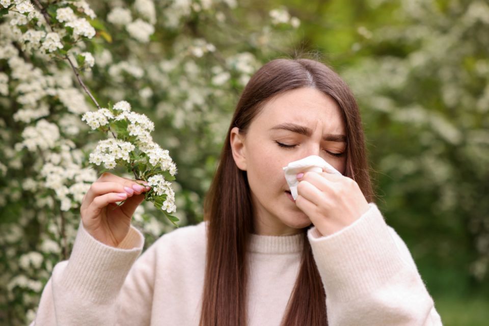 Сезонна алергія: календар цвітіння рослин, які можуть стати збедниками
