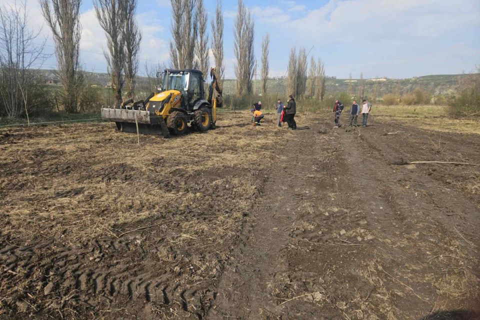 У Чорткові з'явиться великий горіховий сад