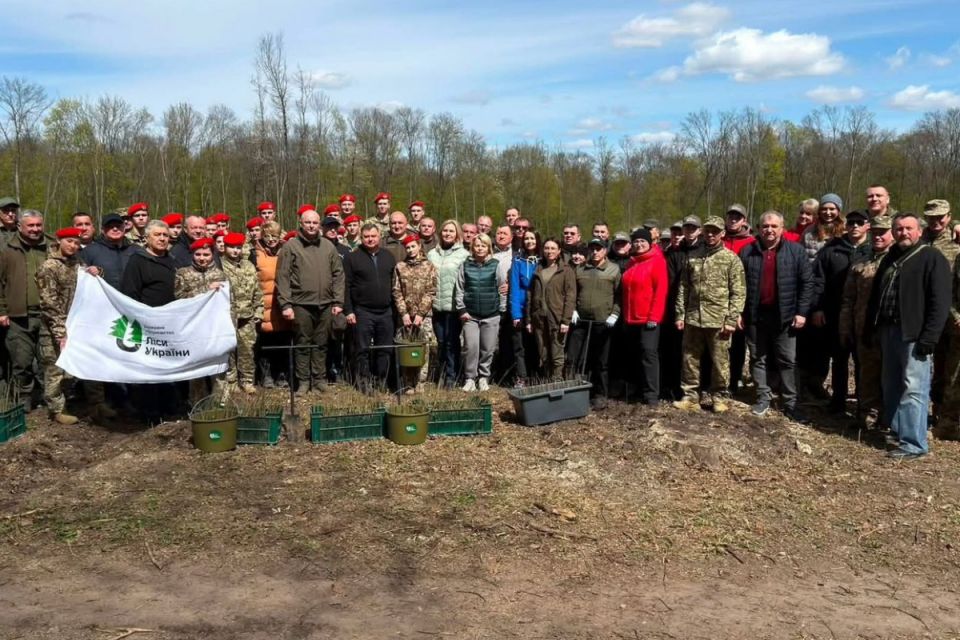 Алея пам’яті: у Скалатському лісництві висадили 3000 дубів