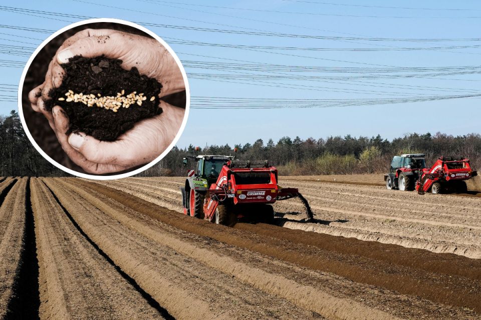 Тернопільщина — в ТОПі лідерів весняної посівної в Україні
