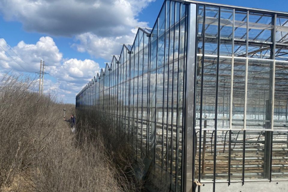 Судитимуть керівницю товариства за самовільне будівництво теплиць на майже гектарі комунальної землі
