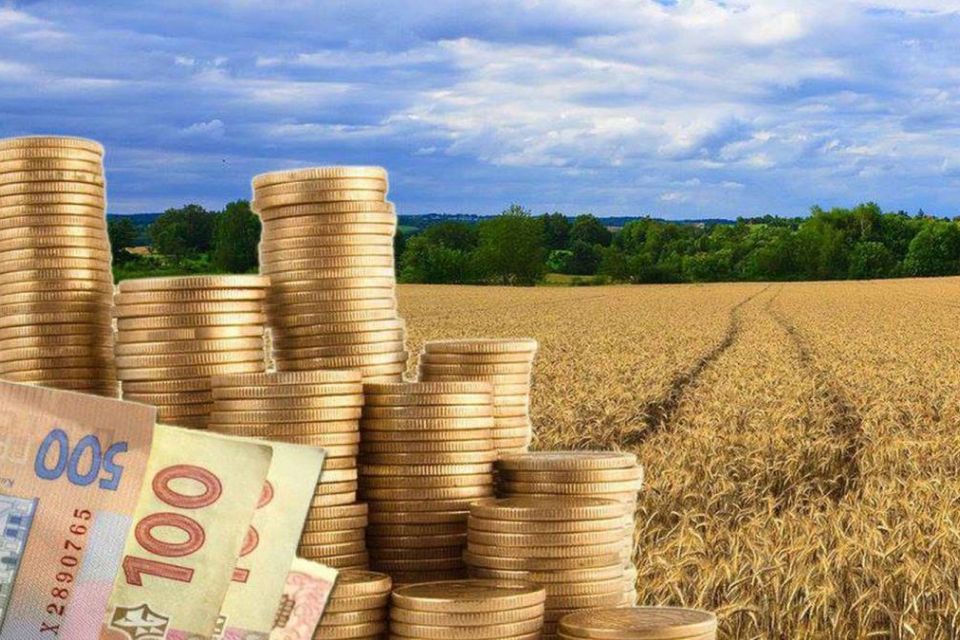 Земельний податок на Тернопільщині: хто має платити, які є пільги та як розрахувати суму
