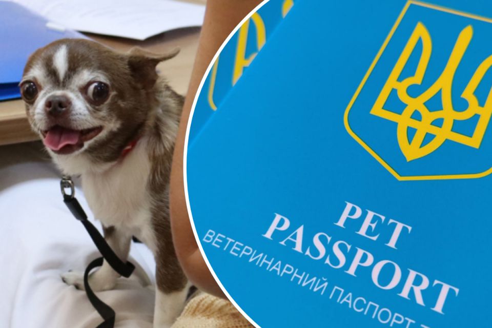 В Україні запроваджують нові паспорти для домашніх тварин: що треба знати