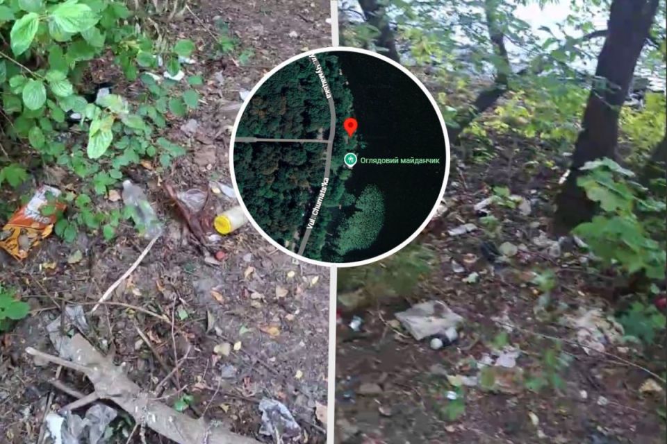 Сміття на березі Тернопільського ставу: хто прибиратиме