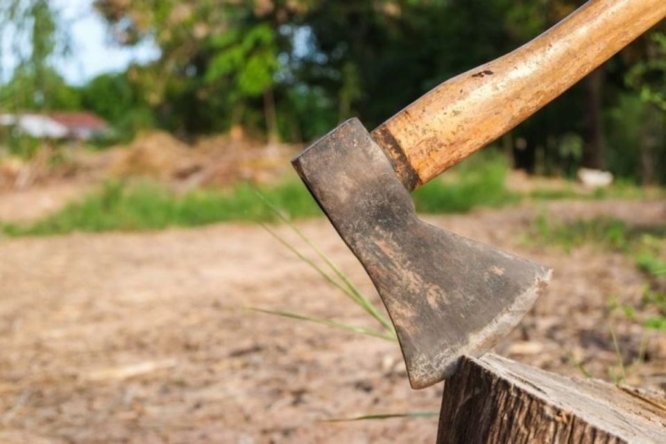 За незаконну порубку 64 дерев на Шумщині чоловік має сплатити понад 650 тисяч гривень