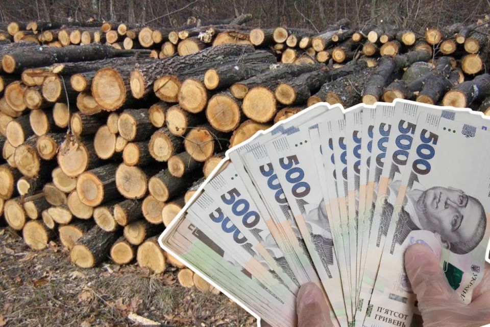 Скільки коштують дрова на Тернопільщині та де можна придбати