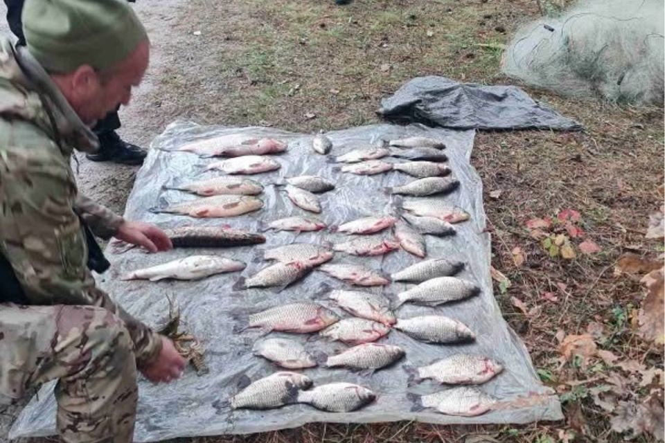 Збитки на понад 75 тисяч гривень: на незаконному вилові риби сітками викрили чоловіка з Чортківщини