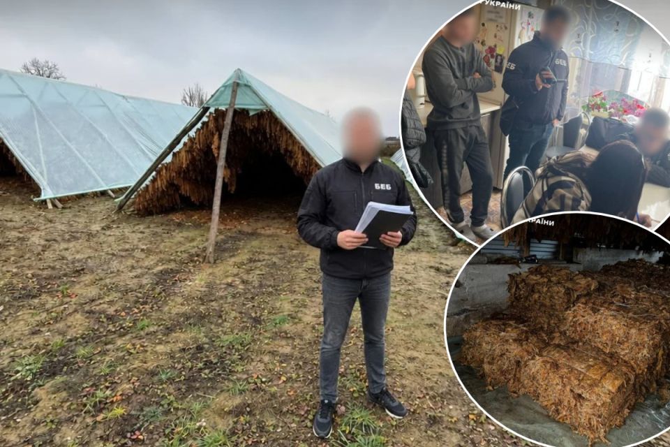 Тютюнова схема на 35,7 млн грн: дев’ятьох осіб судитимуть за незаконне виробництво та збут