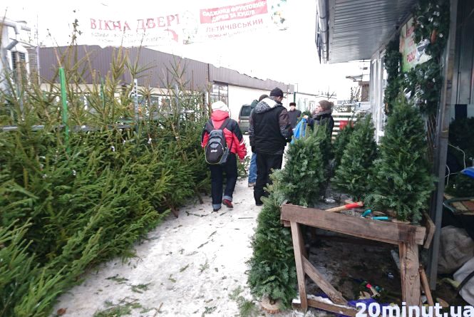 Ð¡ÐºÑÐ»ÑÐºÐ¸ ÐºÐ¾ÑÑÑÑ "Ð¶Ð¸Ð²Ð°" ÑÐ»Ð¸Ð½ÐºÐ° Ð½Ð° ÑÐ¸Ð½ÐºÑ Ð² Ð¢ÐµÑÐ½Ð¾Ð¿Ð¾Ð»Ñ
