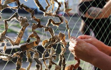 Тернополянка закликає плести маскувальні сітки для наших артилеристів