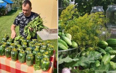 Смачні та бюджетні рецепти консервації від відомого священника Олексія Філюка