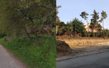 «20 хвилин» написали звернення, щоб перевірили, чи законно зрубали дерева на Чайковського під будівництво