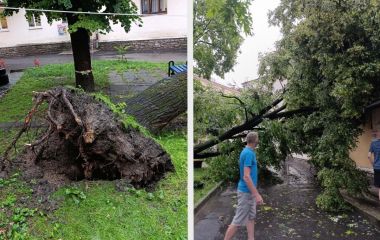 Дерево впало на будинок на Замковій