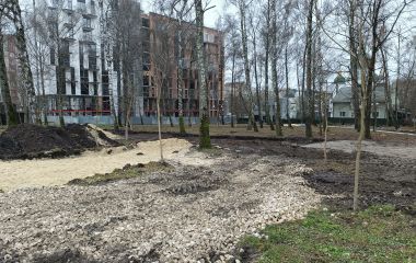 Демонтували дитячий майданчик та розчистили територію: що роблять у парку «Здоров’я»