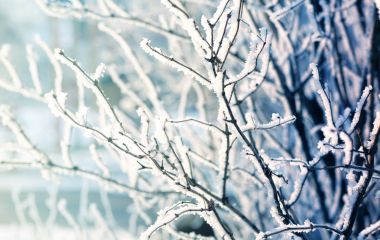 Морози не відступають: штормове попередження та до -19°С очікують на Тернопільщині