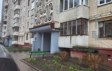 Вбивство на Володимира Великого: що дізналися «20 хвилин» про підозрюваного та вбиту