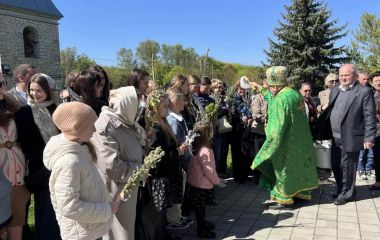 Розклад богослужінь та графік освячення верби у церквах Тернополя