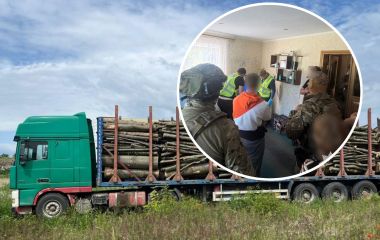 Дерева держустановам за «схемою»: на Тернопільщині викрили шахрайство на 1,2 млн грн
