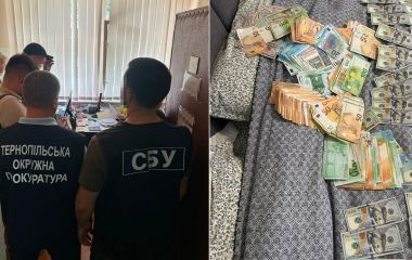 47 тисяч гривень і 2 тисячі доларів за інвалідність: у Тернополі викрили голову команди та трьох лікарок