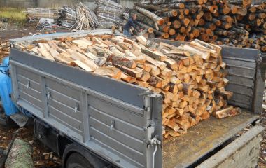 Де на Тернопільщині безпечно купити дрова: розповідаємо про лісництва та ціни