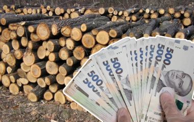 Скільки коштують дрова на Тернопільщині та де можна придбати