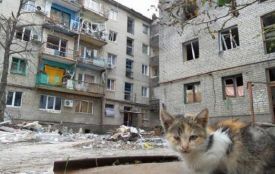Через війну на Сході загинуло майже 6000 людей, - звіт ООН