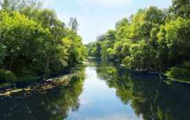 Воду у Краснопущі перевірять, коли будуть скарги від місцевих жителів