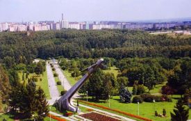 Шукають заміну літаку на "Східному". На ідеї композиції можна заробити