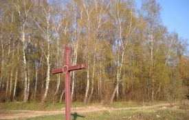 Понад 22 сотих землі серед березового гаю віддали церкві