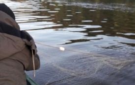 На Тернопільщині браконьєри сітками виловлювали рибу з річки Серет