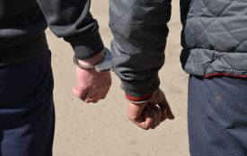Перед нападом вийшли на волю за Законом Савченко