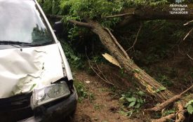 Поблизу Тернополя п'яний водій в'їхав у дерево