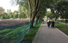 В "Топільче" облаштовують безкоштовний та платні тенісні корти