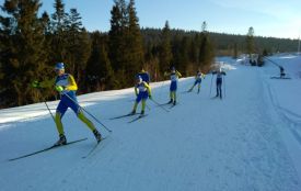 На чемпіонаті України з лижних перегонів тернополянин здобув три медалі