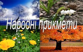 Дощ чи сонце: як добре ви знаєте найпопулярніші народні прикмети про погоду (тест)
