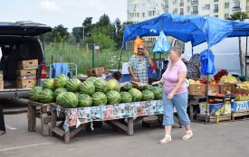 Як правильно обирати кавуни, радять тернополяни