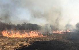 Тернополяни задихаються від диму і скаржаться на нестерпний сморід