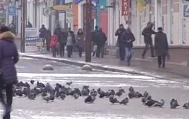 Влітку бруківка - це гарно і естетично, а взимку, то суцільна катастрофа – соцмережі